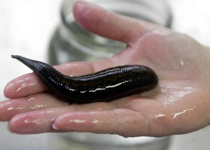 Lipitori medicinale standard